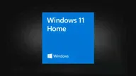Microsoft Windows 11 Home OEM