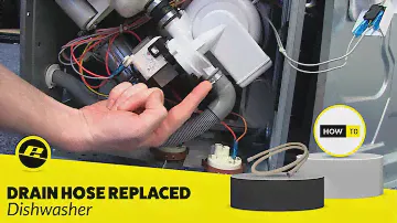 How to Replace the Drain Hose on a Dishwasher