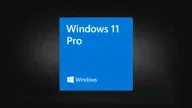 Microsoft Windows 11 Pro OEM
