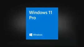 Microsoft Windows 11 Pro OEM