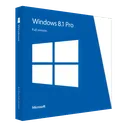 Windows 8.1 Professional OEM