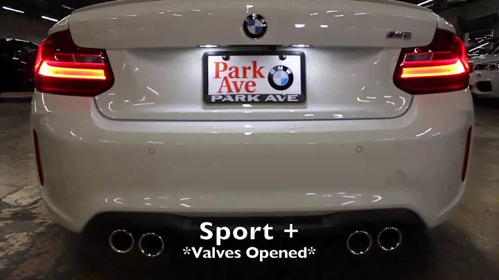 2016 BMW F87 M2 Exhaust Sound Stock (Comfort vs Sport +)