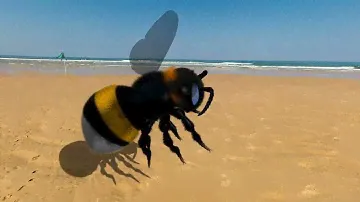 3D модель шмель