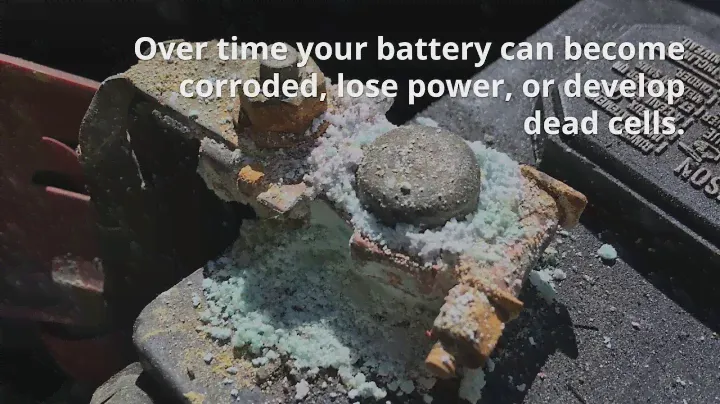 Volkswagen OEM Battery