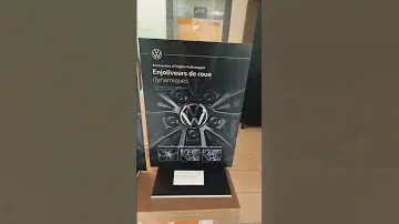 Volkswagen Hubcap spinner
