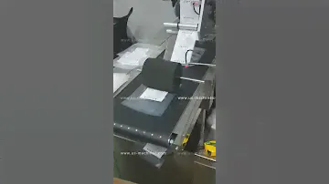 Logo product inform adhensive sticker top labeling machine label applicator line