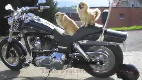 Harley-Davidson 2013 new High-Tech Alarm system