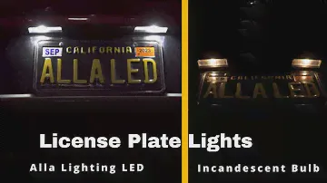 How to Change | Replace Kia K5/Seltos License Plate Lights | LED Bulb?