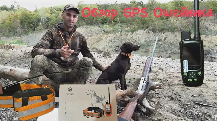 Обзор GPS ошейника