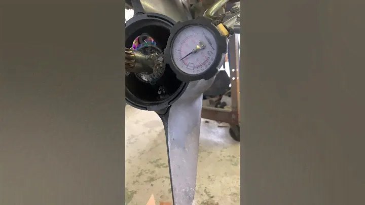 Prop shaft seal leak