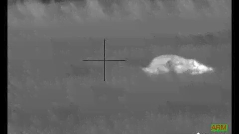 flir pts 736