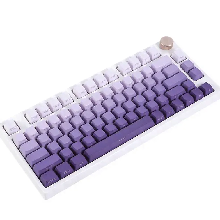 Purple Gradient Keycaps for Mechanical Keyboard PBT Double Shot OEM Profile Backlit Transparent Side Top Print GK61 87 104