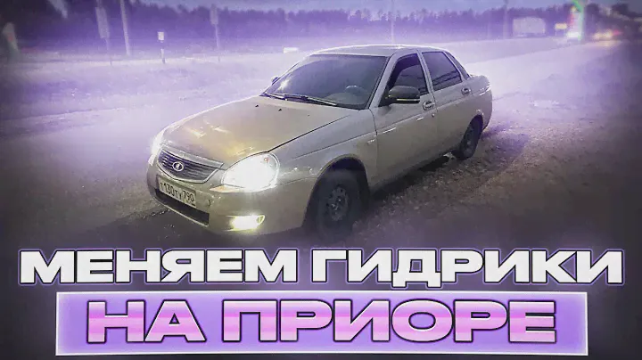 ПЕРЕСТАНЕТ ЛИ СТУЧАТЬ МОТОР? | ЗАМЕНА ГИДРИКОВ | ПРИОРА влог #777