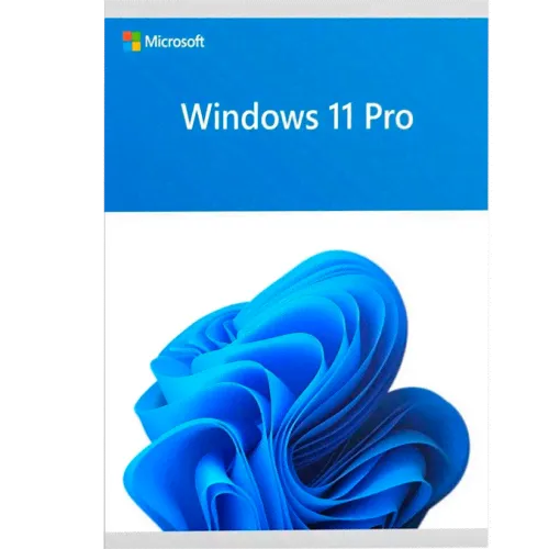 Microsoft Windows 11 Professional OEM 64 bit RU