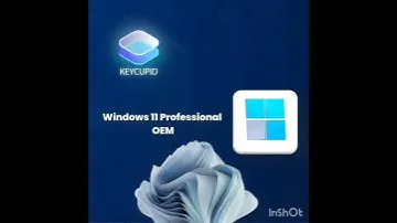 Windows 11 Pro OEM (link in the description)